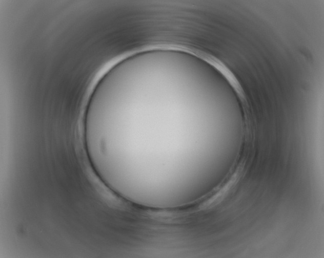 X0000114511004200910190925