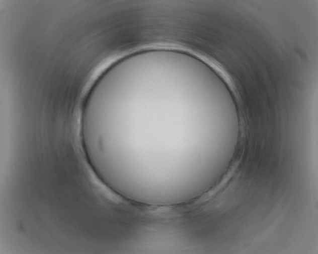 X0000114511006200910190925