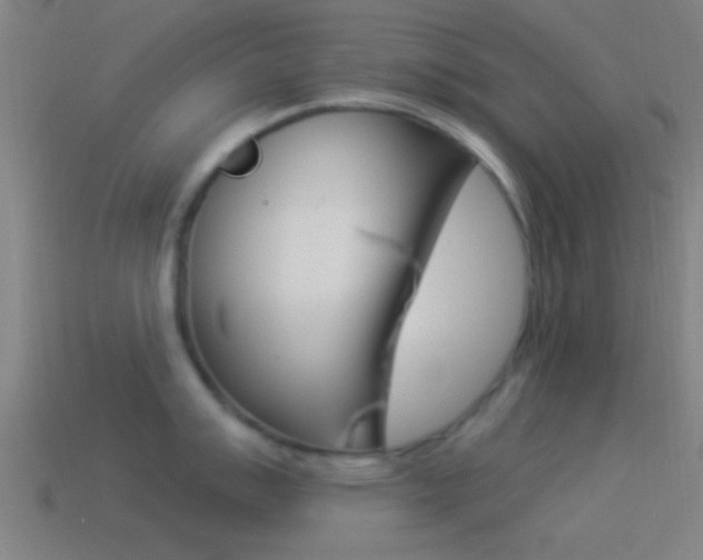 X0000114511007200910190925