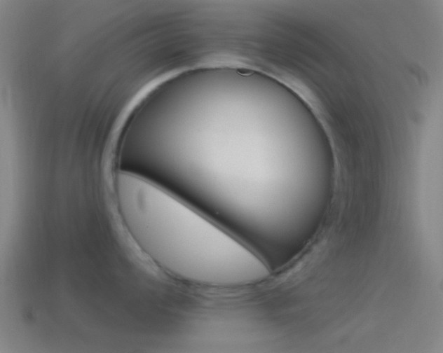 X0000114511008200910190925