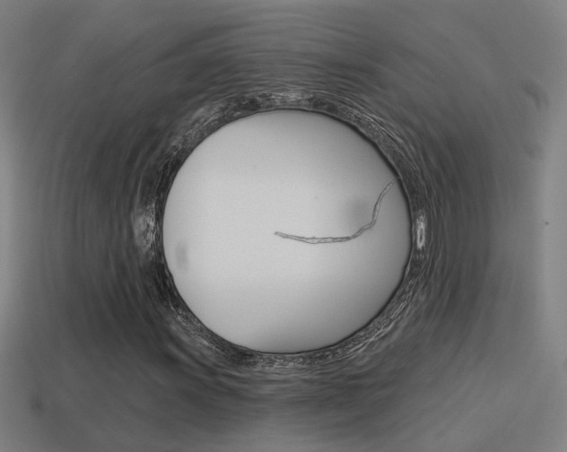 X0000114511011200910190924