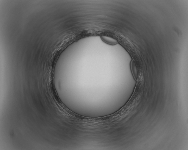 X0000114511012200910190924