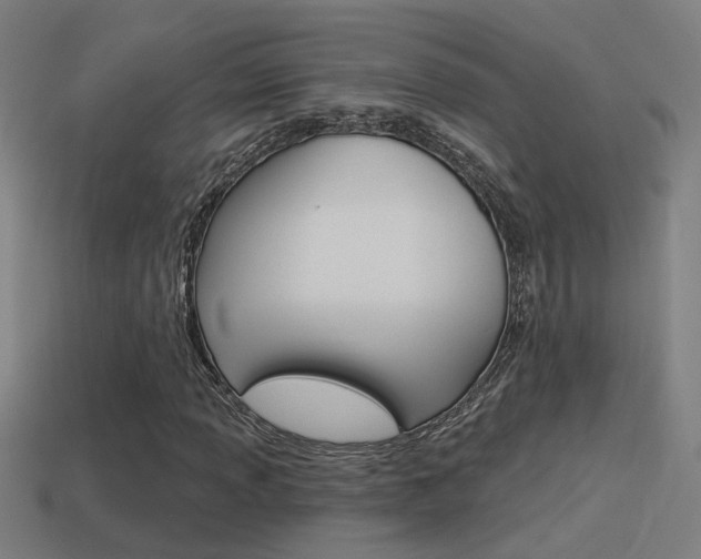 X0000114511013200910190924