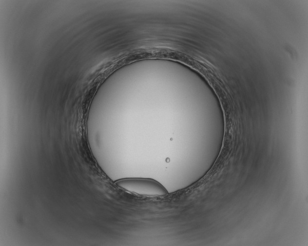 X0000114511014200910190924