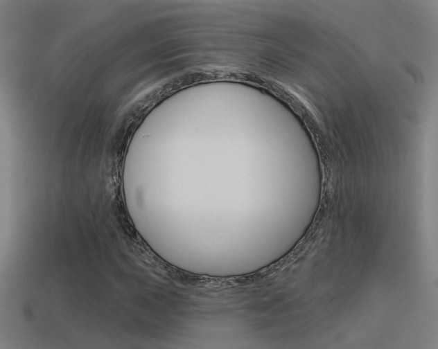 X0000114511015200910190924