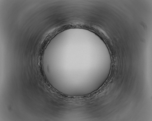 X0000114511016200910190924