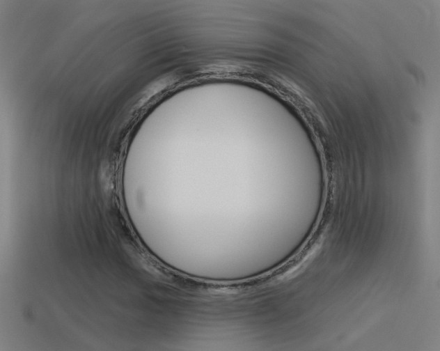 X0000114511017200910190924