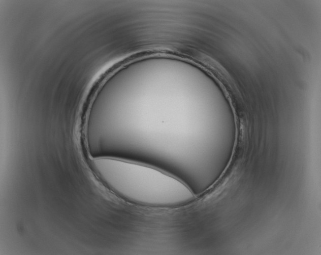 X0000114511020200910190924