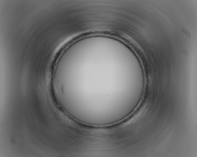X0000114511021200910190924