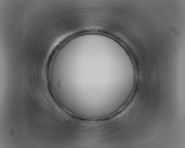 X0000114511022200910190924