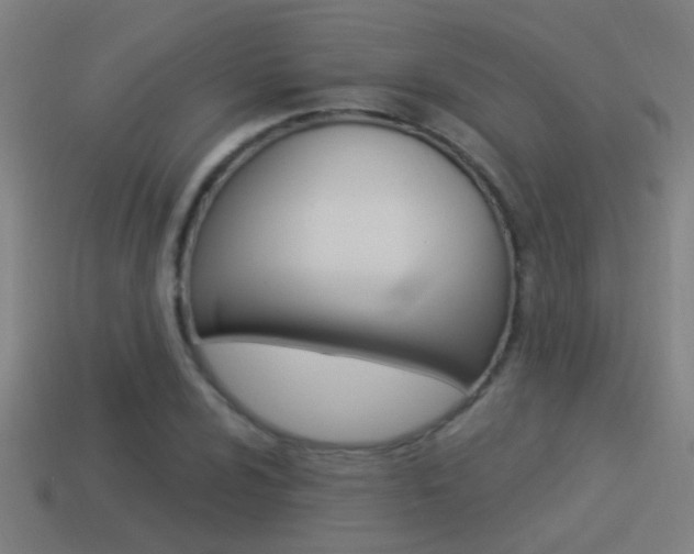 X0000114511024200910190925