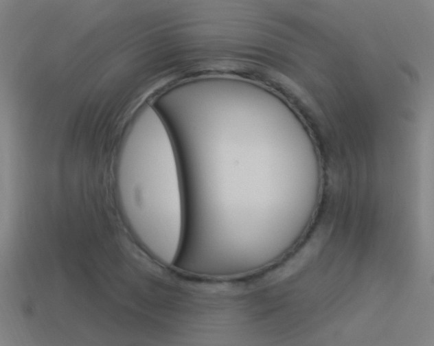 X0000114511025200910190925