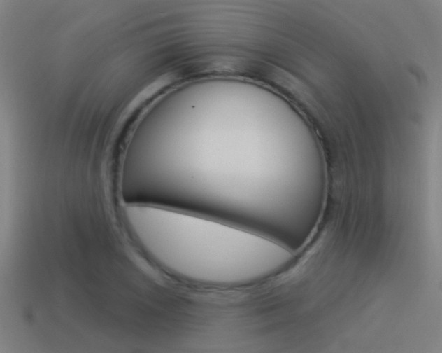 X0000114511026200910190925