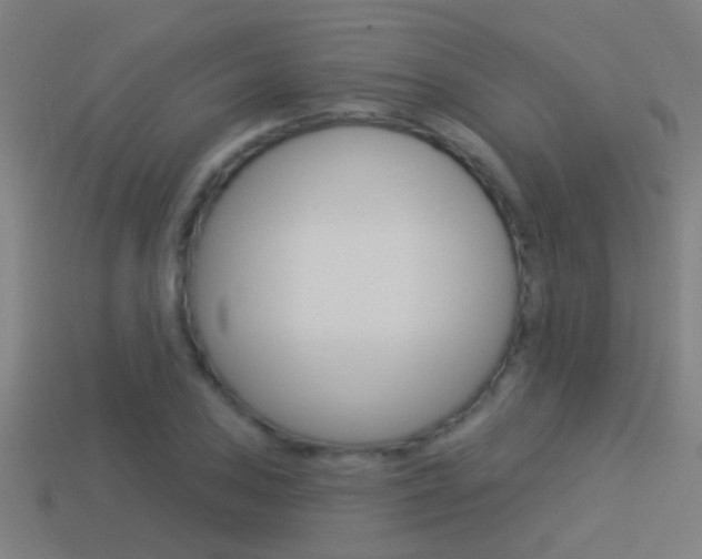 X0000114511027200910190925
