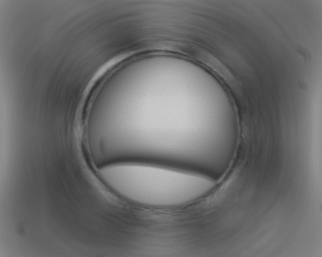 X0000114511028200910190925