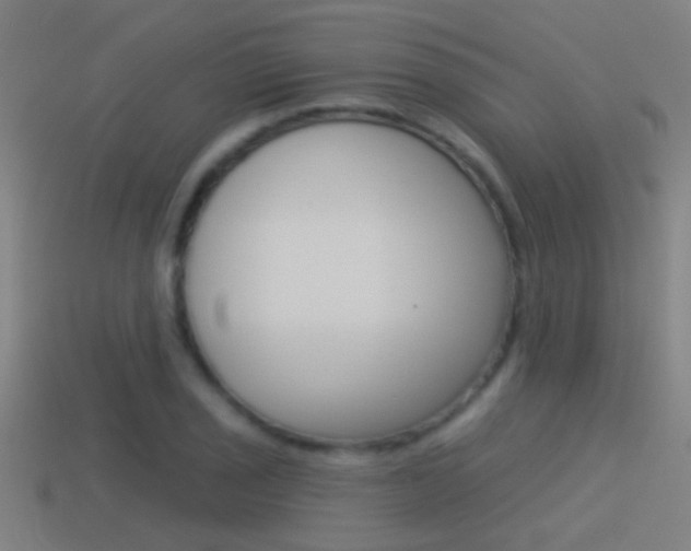 X0000114511029200910190925