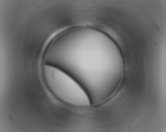 X0000114511032200910190925
