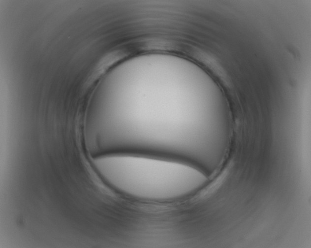 X0000114511033200910190925