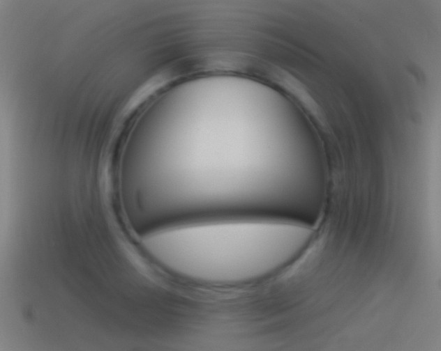 X0000114511034200910190925