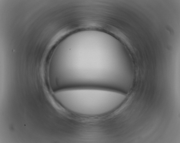 X0000114511038200910190925