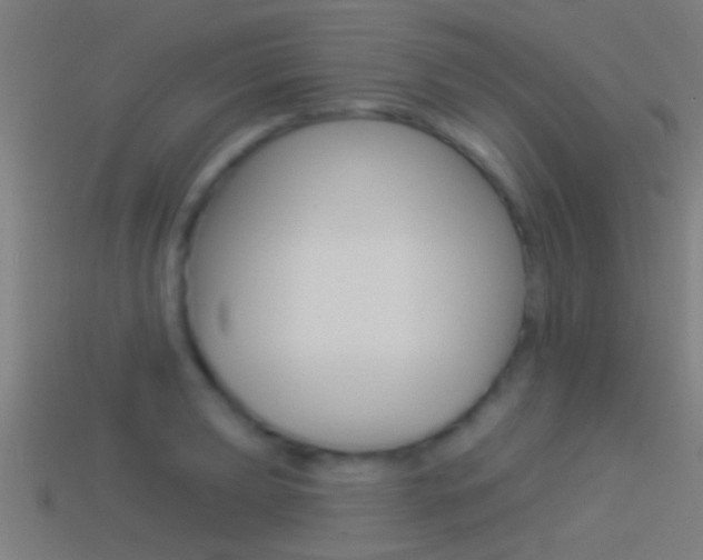 X0000114511039200910190925