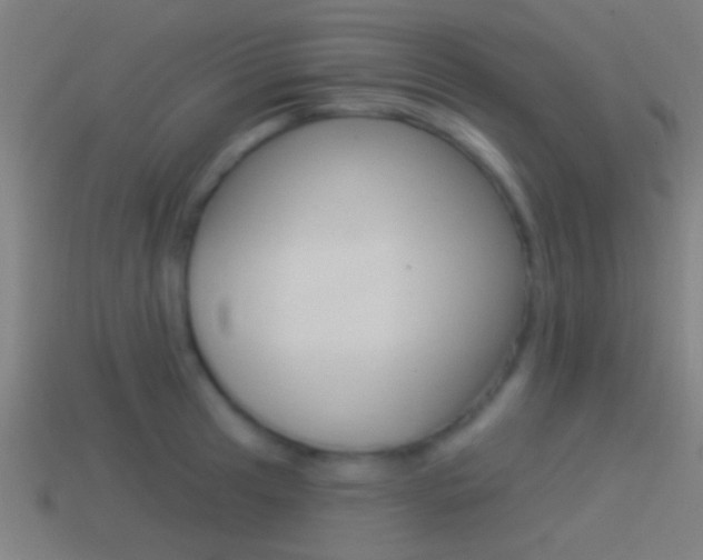 X0000114511041200910190925