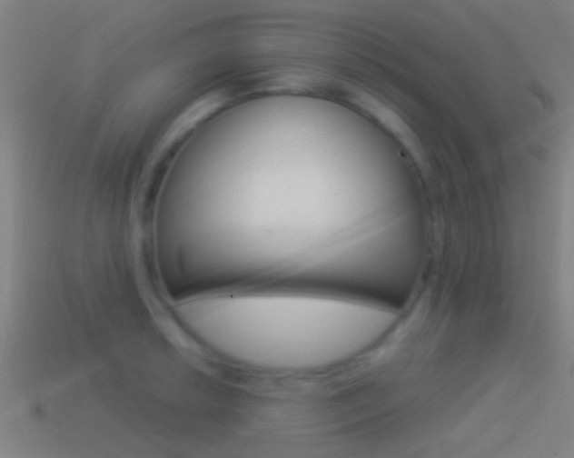 X0000114511042200910190925