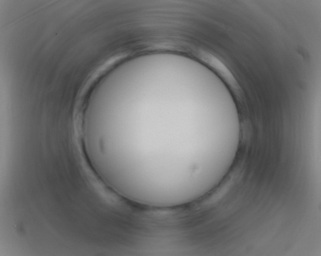 X0000114511043200910190925