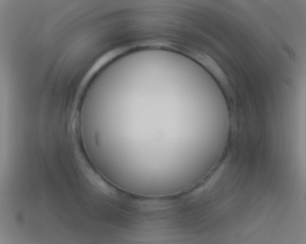 X0000114511044200910190925