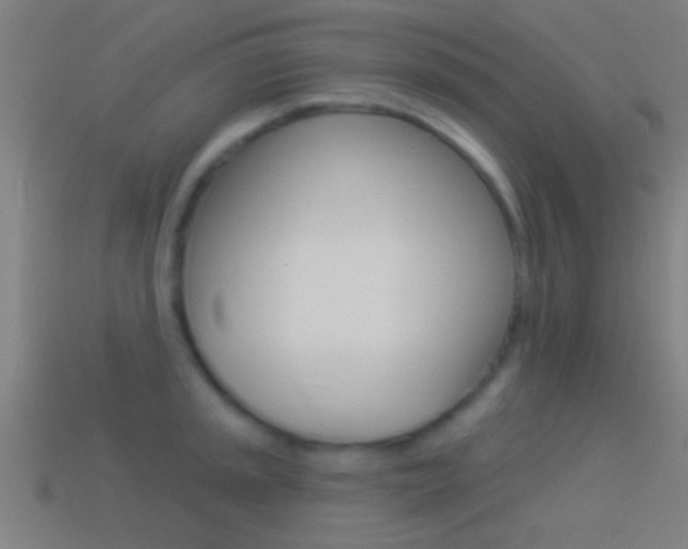 X0000114511045200910190925