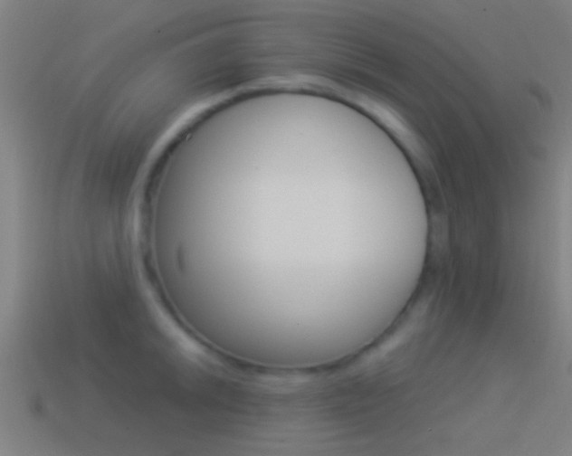 X0000114511046200910190925