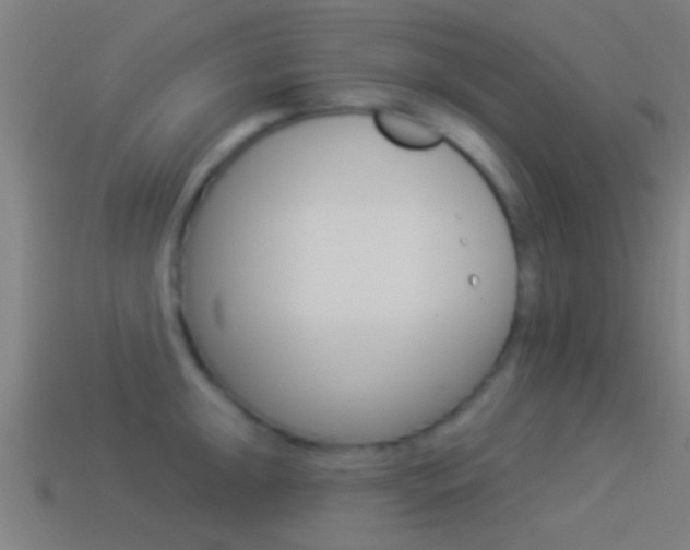 X0000114511047200910190925