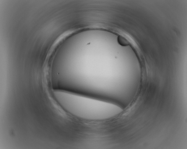 X0000114511048200910190925