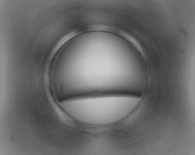 X0000114511050200910190925