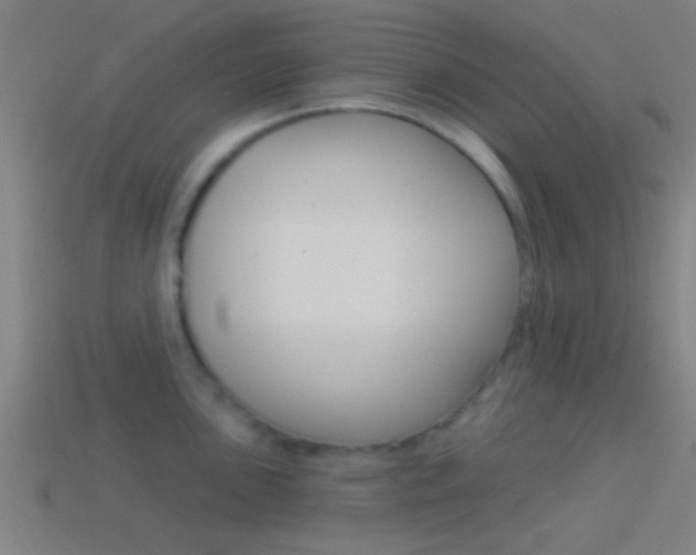 X0000114511051200910190925