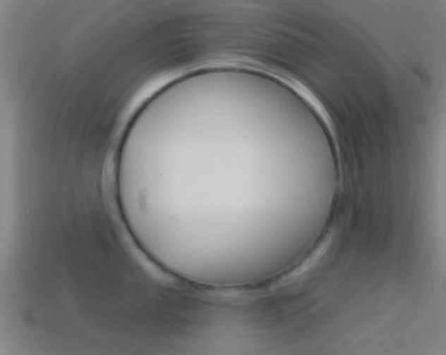 X0000114511053200910190925