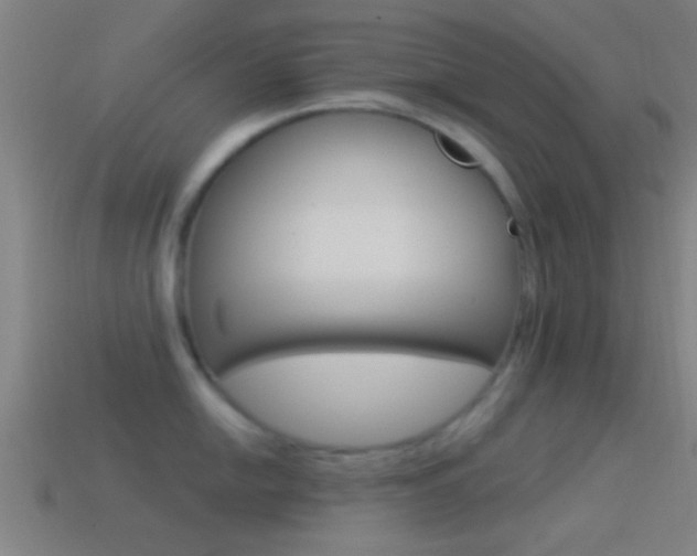 X0000114511054200910190925
