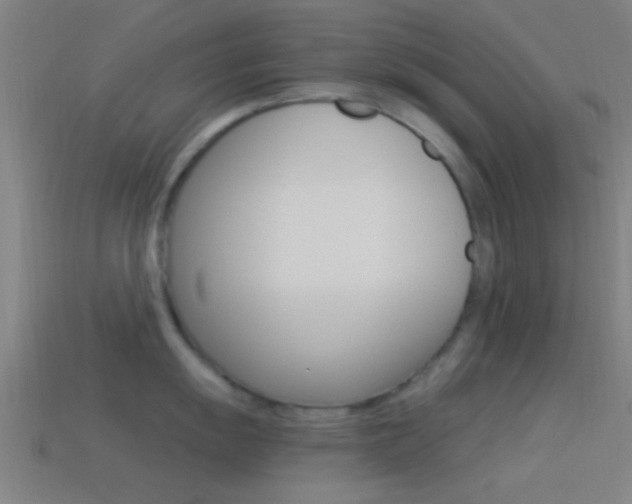 X0000114511055200910190925
