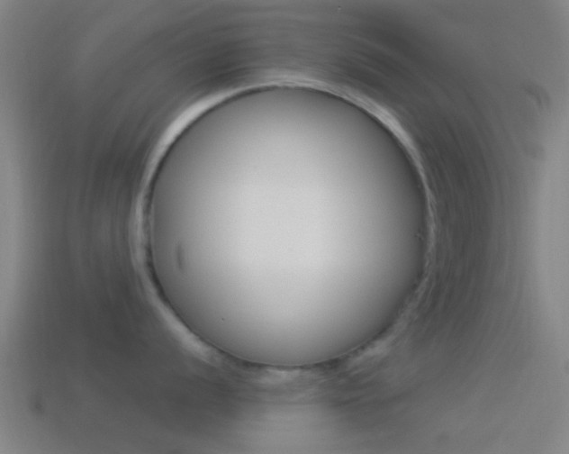 X0000114511056200910190925