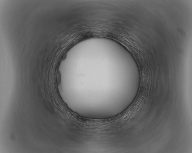 X0000114511057200910190924
