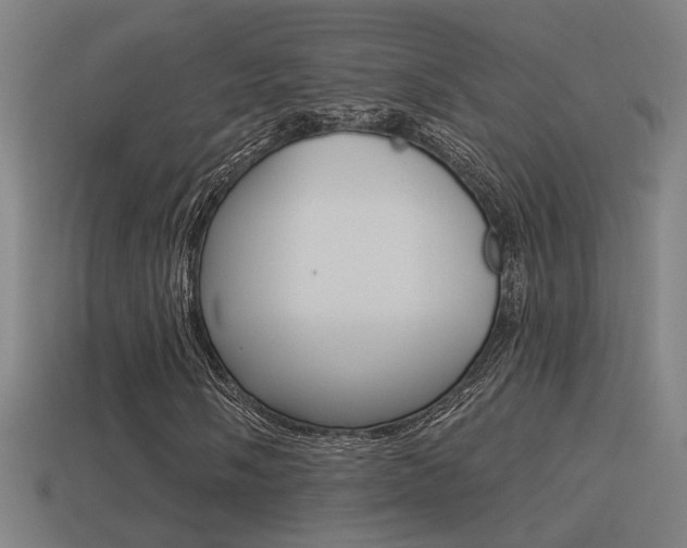 X0000114511058200910190924