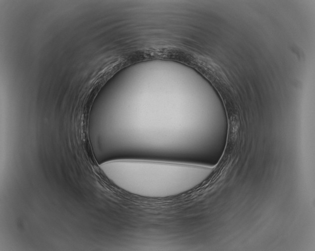 X0000114511060200910190924