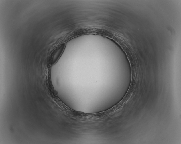 X0000114511061200910190924