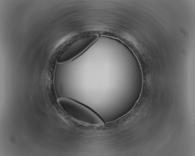 X0000114511064200910190924