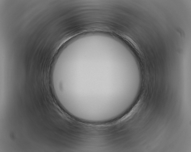X0000114511065200910190924