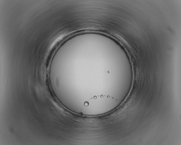 X0000114511067200910190924
