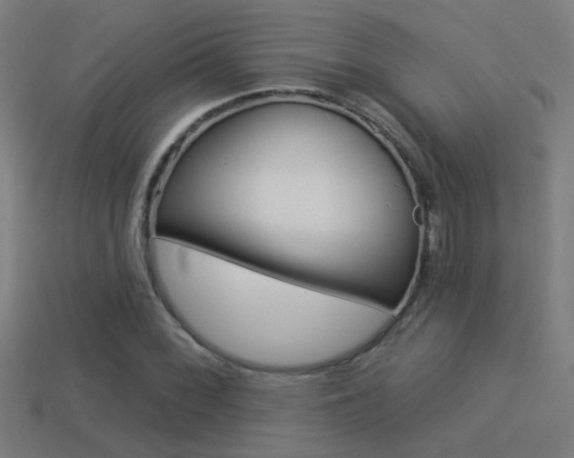 X0000114511068200910190924