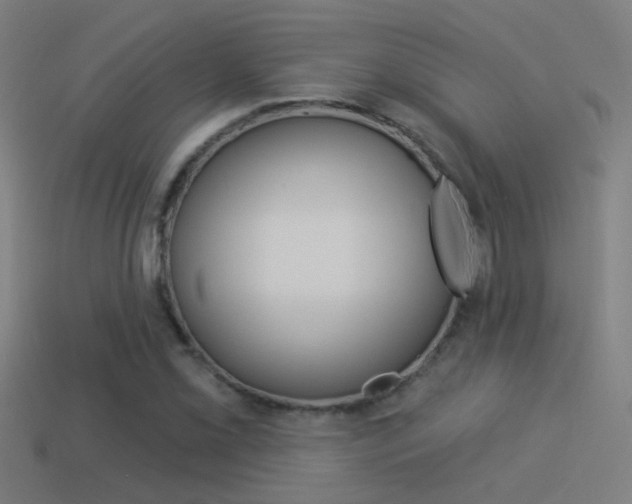 X0000114511069200910190924