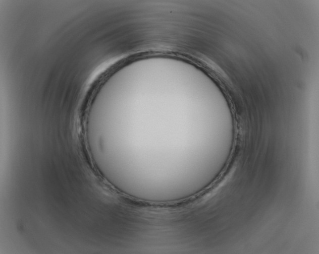 X0000114511070200910190924