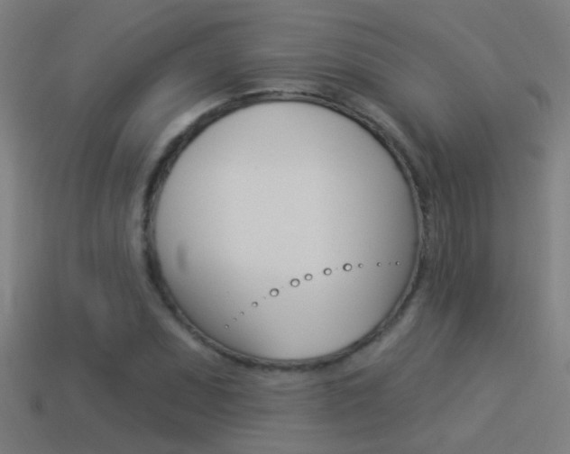 X0000114511071200910190924